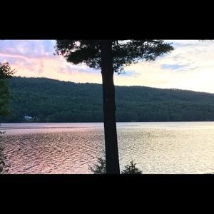 Meet your Posher, Brandy